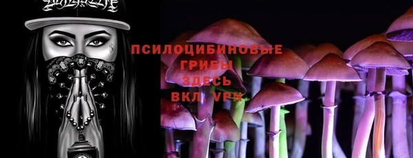 первитин Алексин
