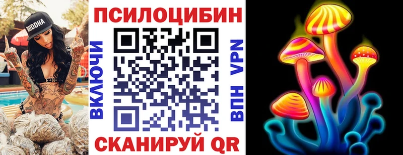 Псилоцибиновые грибы Magic Shrooms  Курганинск 