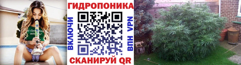 купить   Курганинск  МЕГА ссылки  Марихуана сатива 